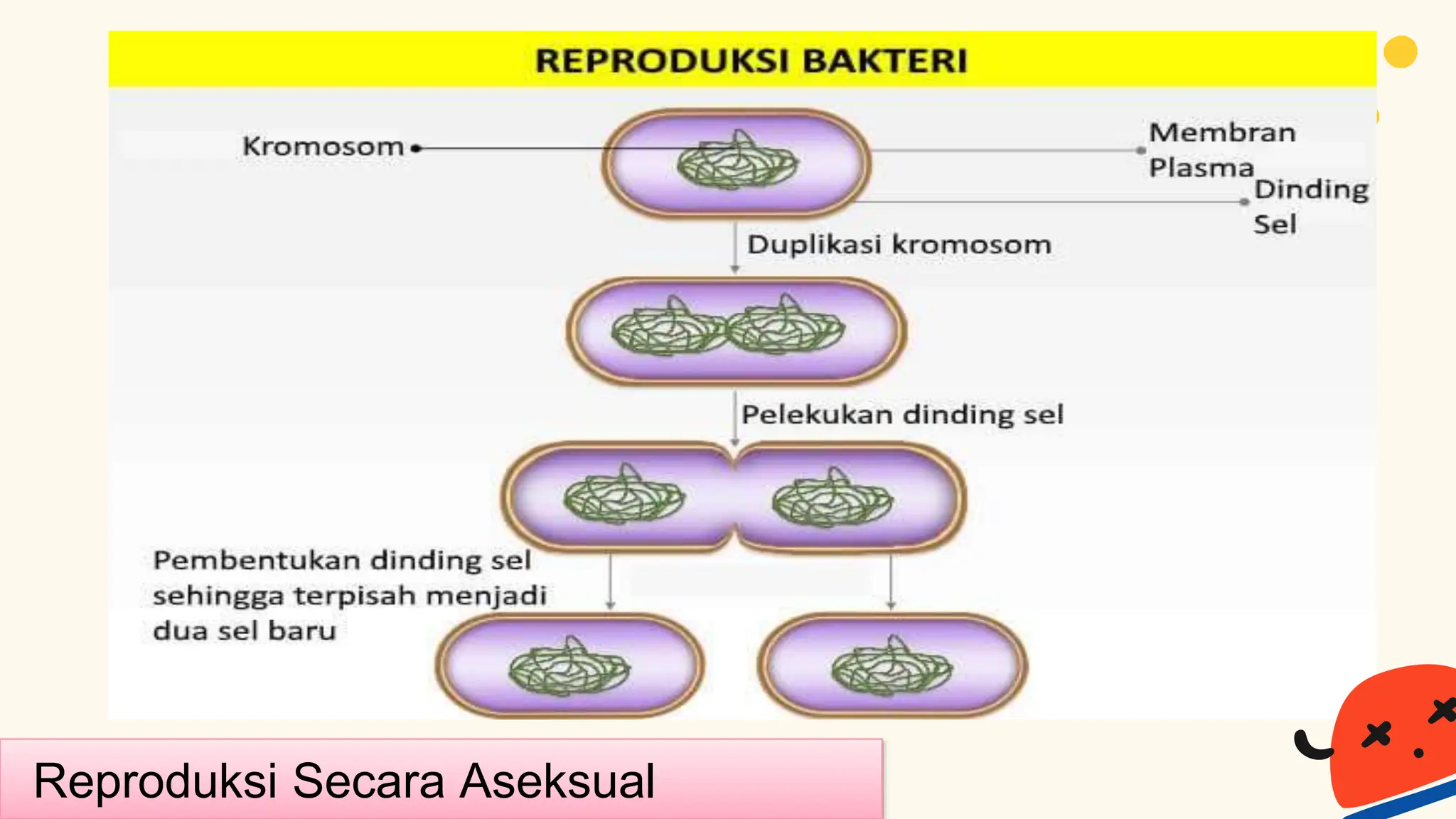 Rahasia Lulus Nilai Sempurna dengan Bocoran soal ulangan semester 2 kelas 3 ini Rahasia Lulus Nilai Sempurna dengan Bocoran soal ulangan semester 2 kelas 3 ini